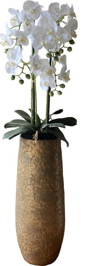 HEM Levensechte Kunst Orchidee Phalaenopsis plant 75 cm met zwarte pot ( 5-taks vol bloemen) kleur Wit Kunstplant