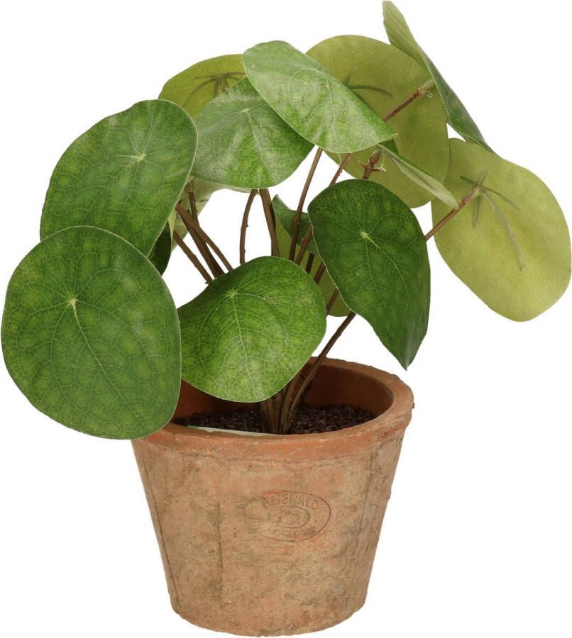 Shoppartners Kunstplant pannenkoeken plant groen in pot 25 cm Kamerplant groen pilea