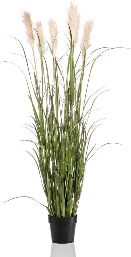 Woonexpress Kunstplant Pampas Groen Polyester Groen 130x0x0cm (hxbxd)
