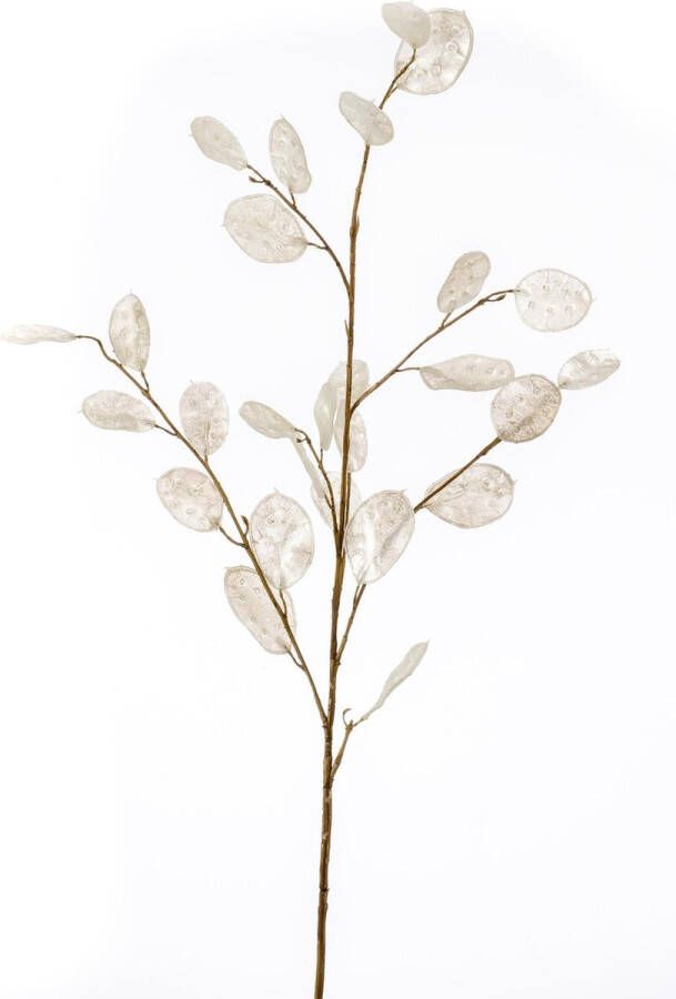 Cozy Ibiza Kunstbloem Lunaria Wit Polyester Creme 105x0x0cm (hxbxd) Woonexpress