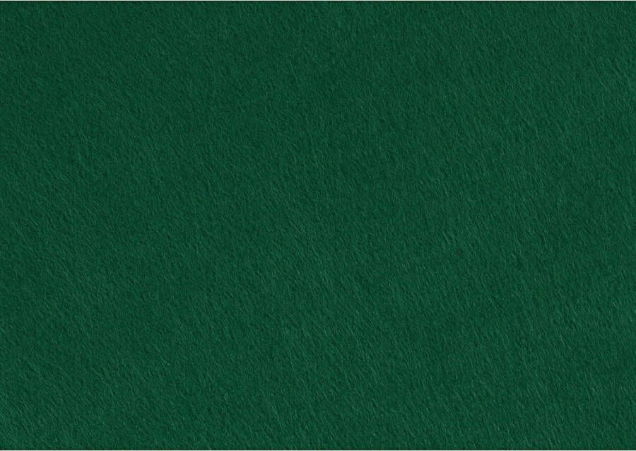 Creotime hobbyvilt A4 21 x 30 cm vilt groen 10 stuks