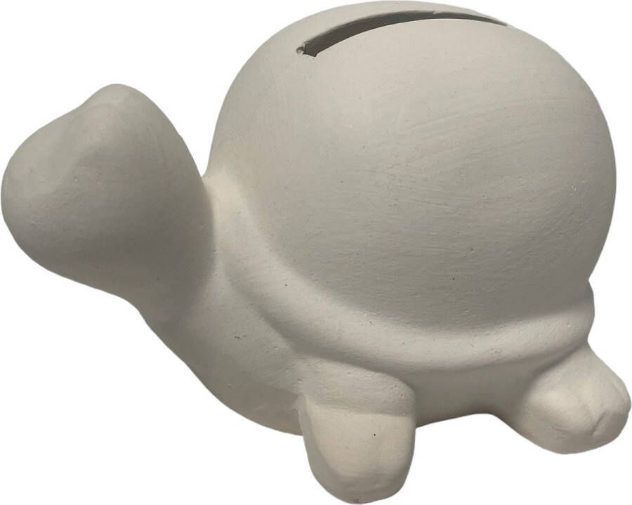 Creotime Spaarpot schildpad