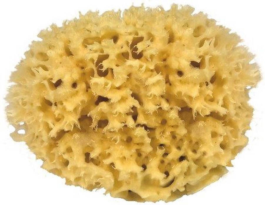 CROLL & DENECKE Natuurspons – Natuurlijke spons – Badspons – 100% Natuurlijk & Plasticvrij – Vegan ⌀ 16 cm