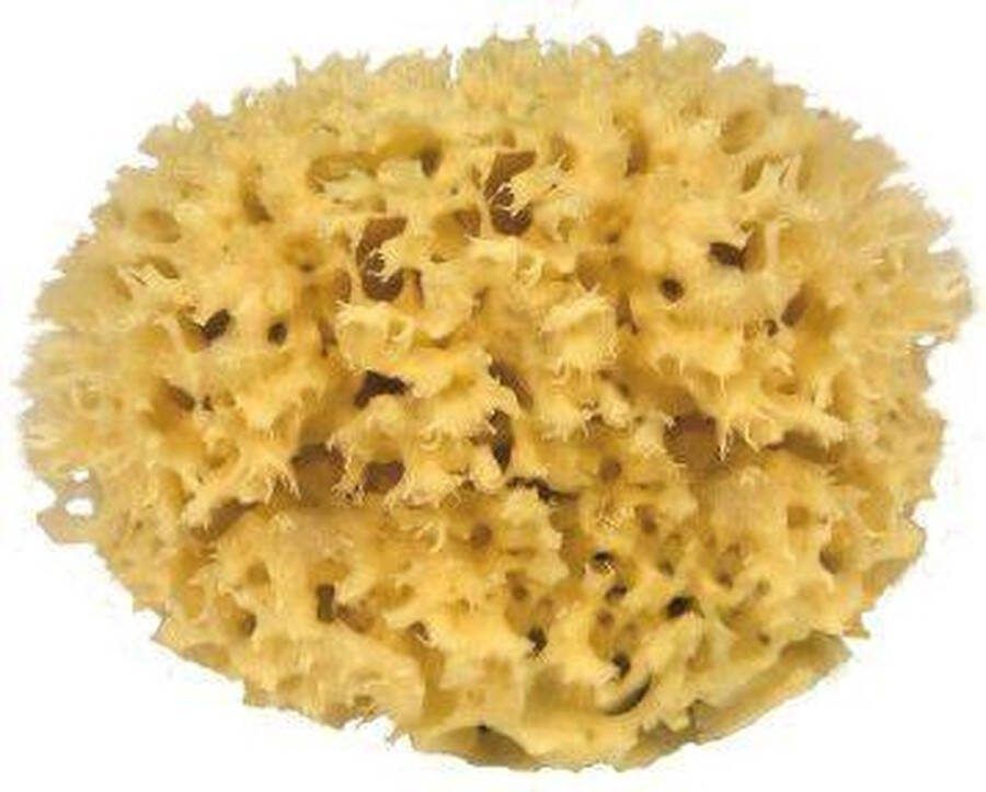 CROLL & DENECKE Natuurspons – Natuurlijke spons – Badspons – 100% Natuurlijk & Plasticvrij ⌀ 12 cm