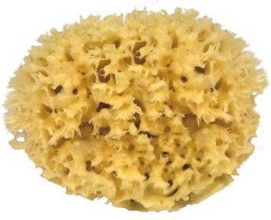 CROLL & DENECKE Natuurspons – Natuurlijke spons – Badspons – 100% Natuurlijk & Plasticvrij – ⌀ 10 cm