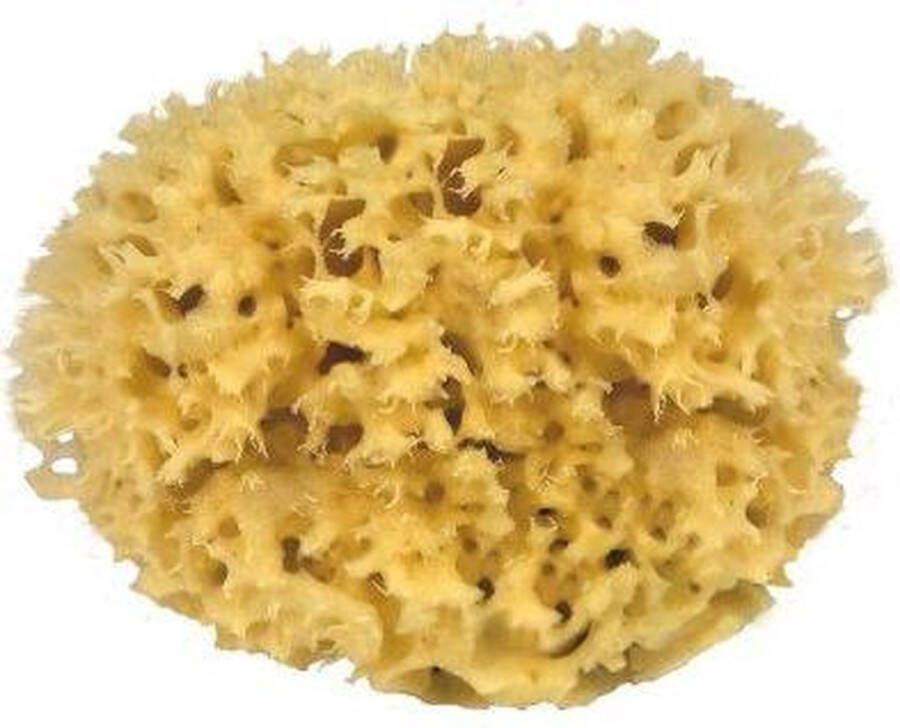CROLL & DENECKE Natuurspons – Natuurlijke spons – Badspons – 100% Natuurlijk & Plasticvrij – Vegan ⌀ 14 cm