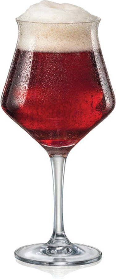 Crystalex 6x Degustatie glas voor speciaal bier – bierglas op voet kristallen bierglazen set 6 stuks