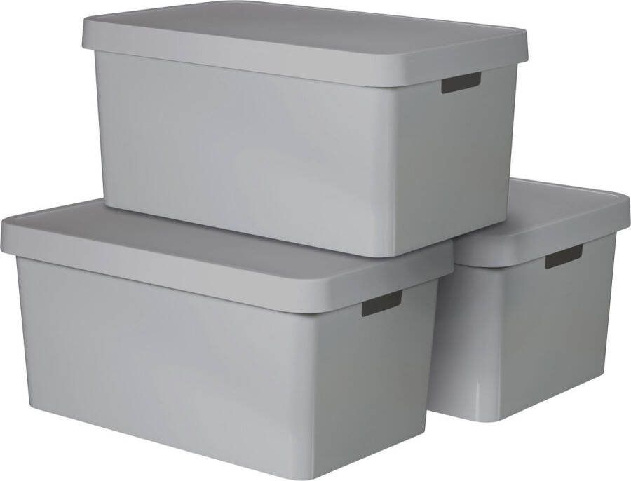 Curver Opbergbox met deksel Infinity 3 stuks 45L Grijs