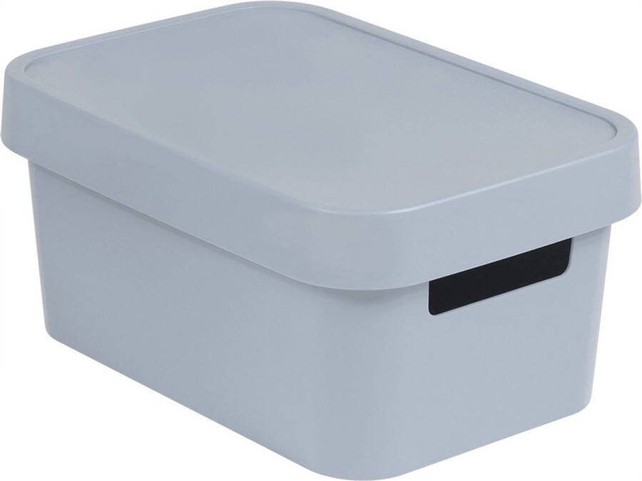 Curver Opbergbox met deksel Infinity 4.5L grijs