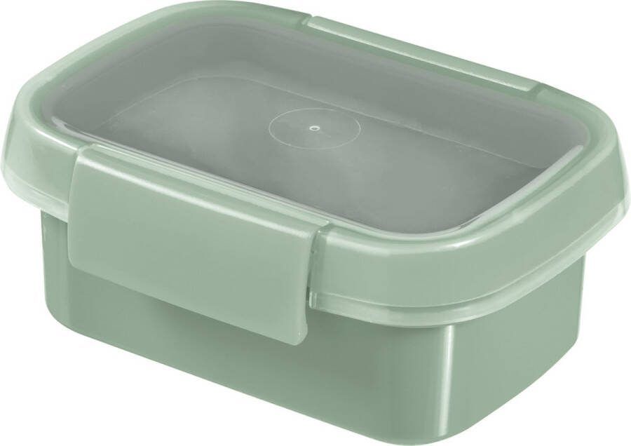 Curver Smart to Go Eco Snackbox 0 2L Groen