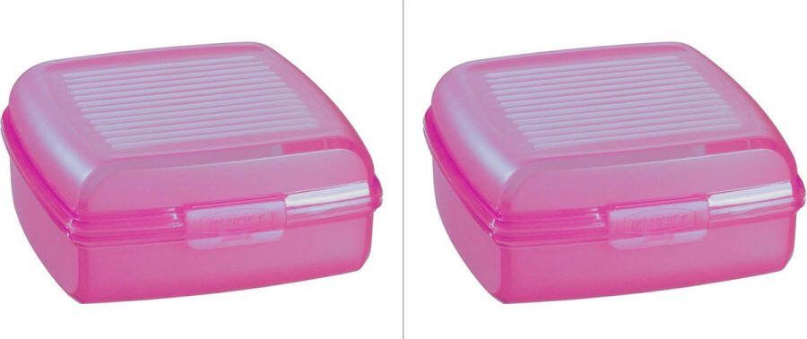 Curver vershoudsdoos Multi Snap 0.9 liter 2 stuks roze transparant