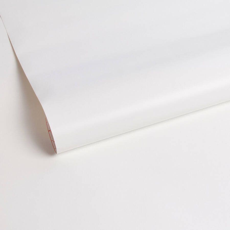 D-c-fix Frost Raamfolie 68x150cm Melkglas Uni Statisch
