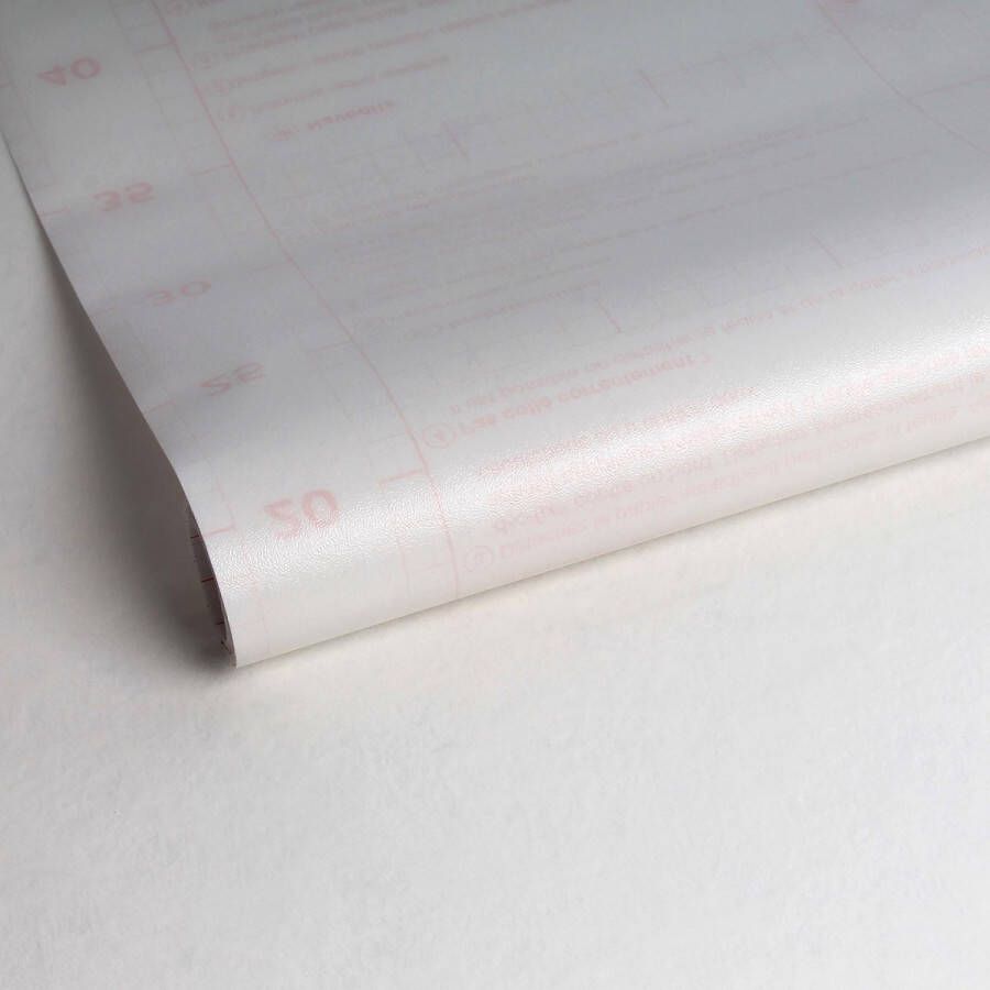D-c-fix Premium Statische Raamfolie Rijstpapier 150x45 cm