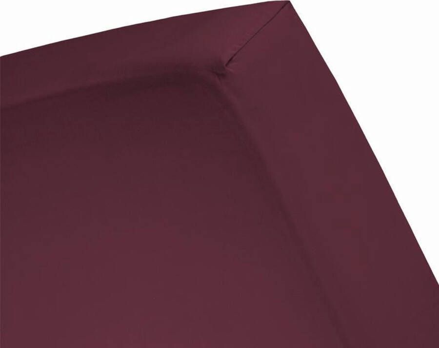 Damai Hoeslaken (tot 25 cm) Katoen 140 x 190 200 210 cm Burgundy