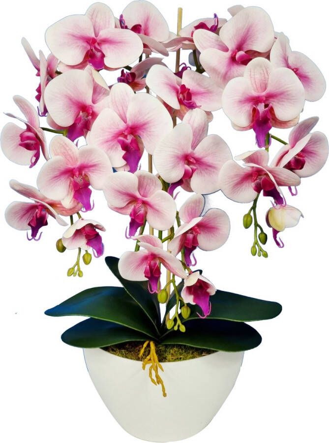 Damich Kunst Orchidee in Bloempot Voor binnen Hoogte ca. 60cm Roze