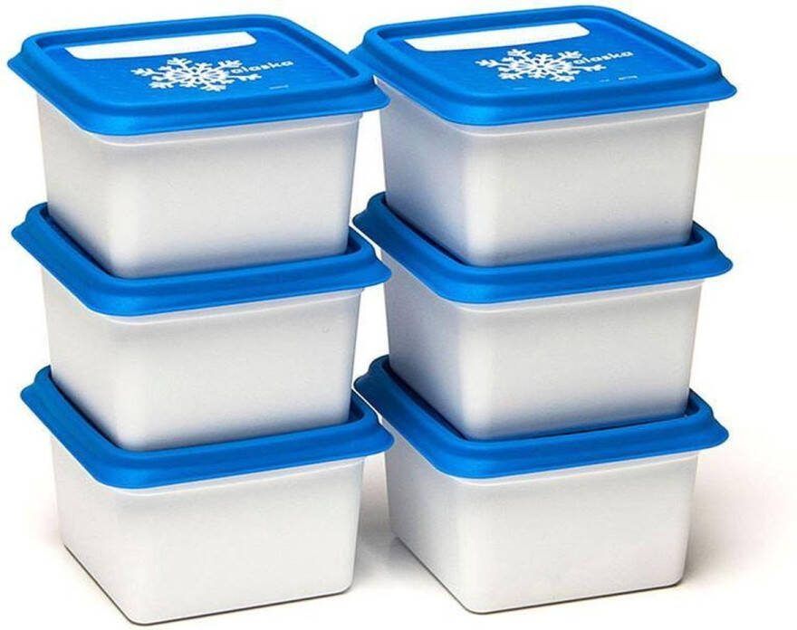 Amuse Alaska Diepvriesdozen Set van 6 Diepvriesbakjes Diepvriesdozen bewaardozen Vaatwas magnetron en diepvriesbestendig Stapelbaar 6 x 200 ml