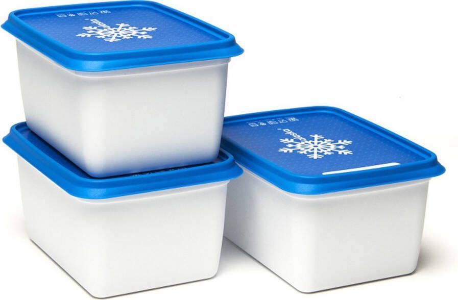 Amuse Alaska Diepvriesdozen Set van 3 Diepvriesbakjes Diepvriesdozen bewaardozen Vaatwas magnetron en diepvriesbestendig Stapelbaar 3 x 1000 ml