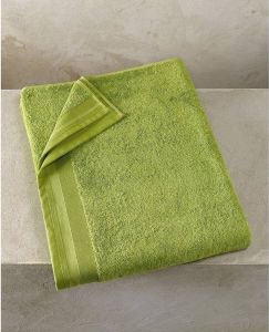 De Witte Lietaer Excellence Lime Green Gastendoekje 40 60