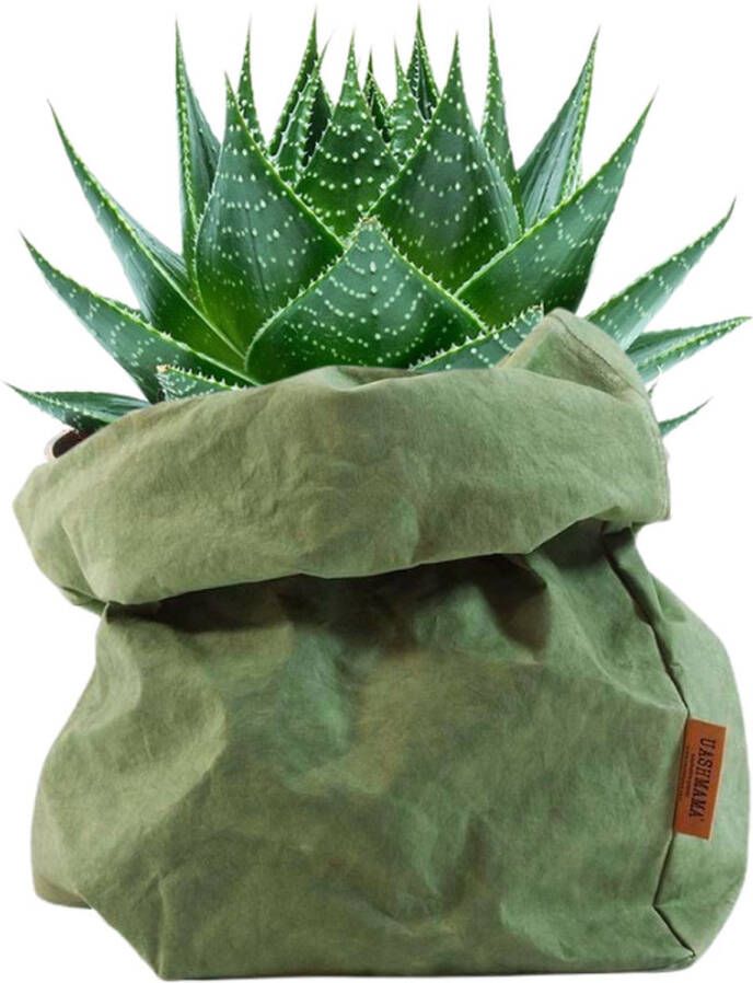 De Zaktus Aloe Cosmo vetplant UASHMAMA paper bag donker groen Maat M