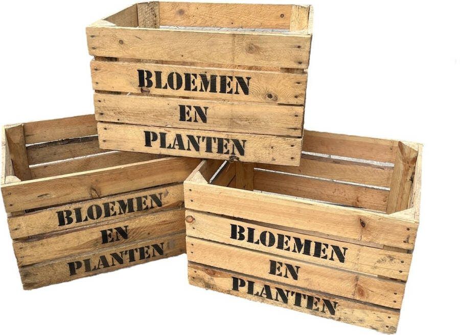 Decolisnl Gebruikte Fruitkist opdruk Bloemen en Planten Set van drie L50xB40xH30 cm Leuk voor moestuintje of winkelinrichting! DecoLis