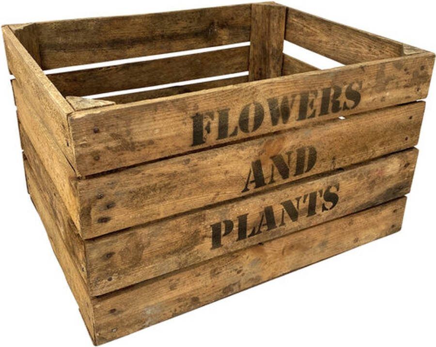 DecoLis.NL Fruitkist (Gebruikt) Flowers and Plants