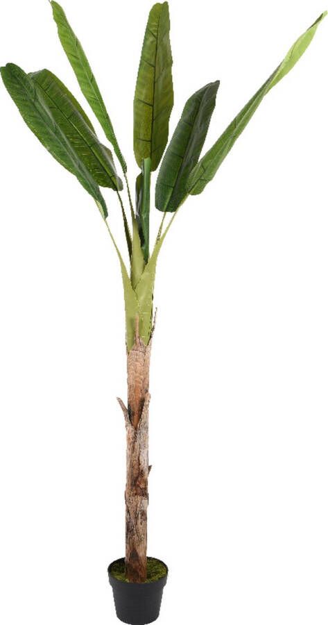 Decoris Kunst bananenplant in kunststof pot H 200 cm