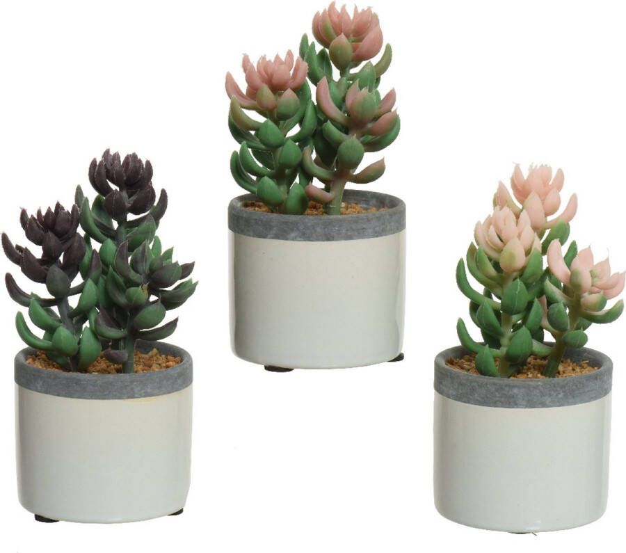 Decoris Kunstplant vetplant in pot keramiek L7.5-B7.5-H14cm- verkrijgbaar in 3 verschillende kleuren