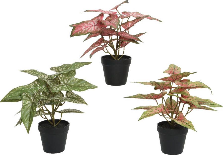 Decoris Plant polyester in kunststof pot L35-W35-H37cm- verkrijgbaar in 3 verschillende kleuren