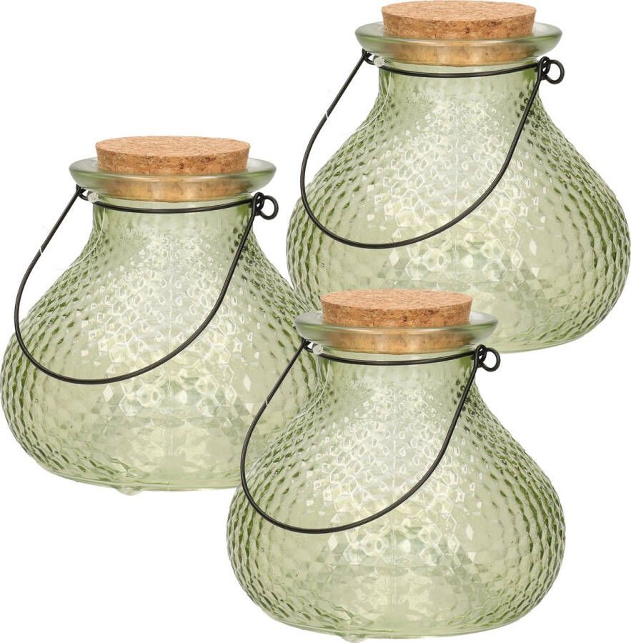 Decoris wespenvanger wespenval met hengsel 3x glas saliegroen D14 x H13 cm