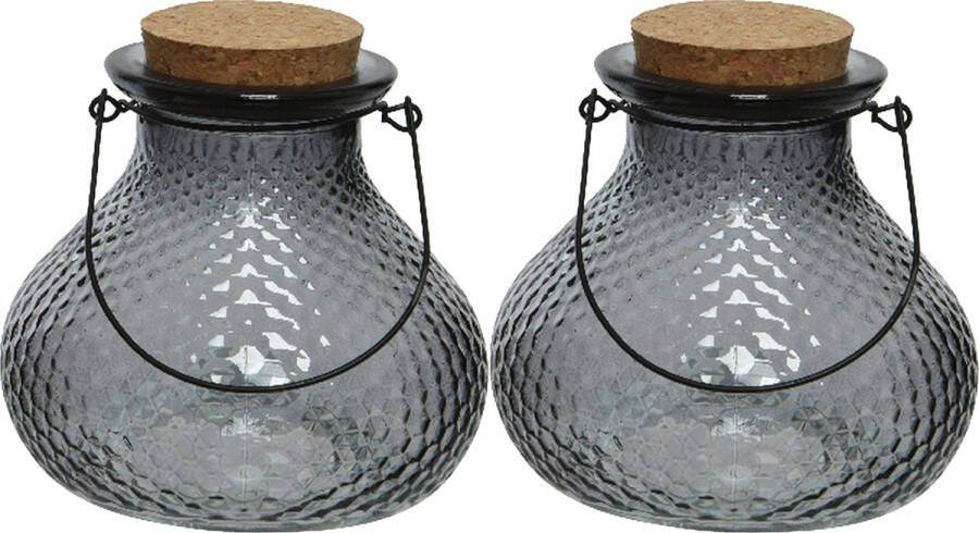 Decoris 2x wespenvanger wespenval met hengsel glas grijs D14 x H13 cm Ongediertevallen Ongediertebestrijding