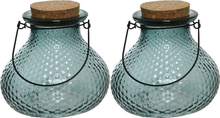 Decoris 2x wespenvanger wespenval met hengsel glas lichtblauw D14 x H13 cm Ongediertevallen Ongediertebestrijding