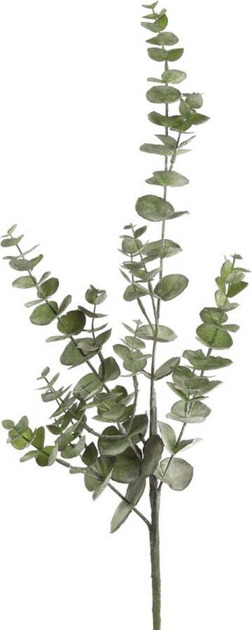 Decostar Kunstplant Tak Eucalyptus Groen 80 cm