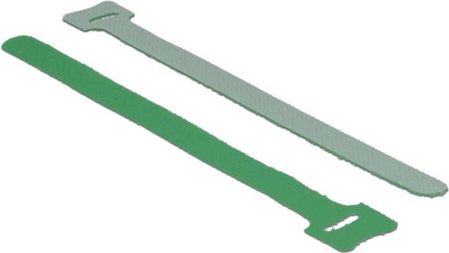 Delock Klittenband kabelbinders 200 x 12mm groen (10 stuks)
