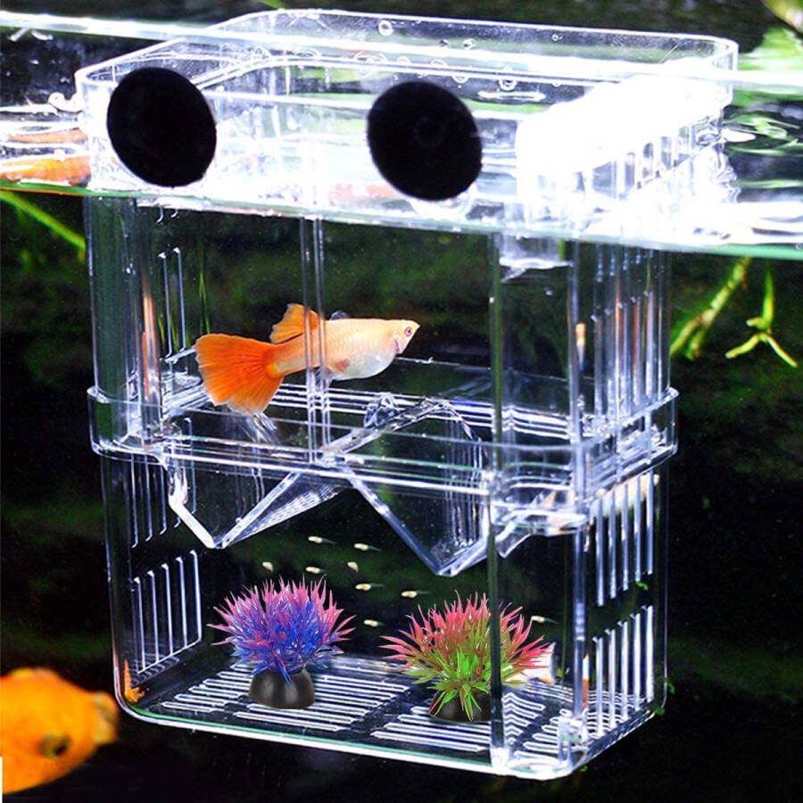 Deluxe HB Kweekbak Zinaps foktank voor aquaria acryl dubbele laag vis foktank voor guppies garnalen en mollies aquarium foktank isolatie doos voor jonge vis maat L (WK 02133)