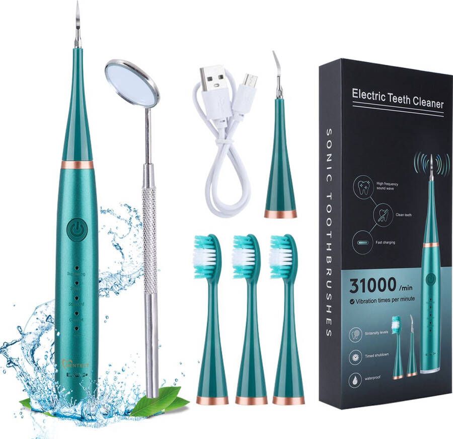 Tandsteen verwijderaar elektrisch Dentect – tandenborstel opzetstukken tandarts spiegel 5 standen Groen