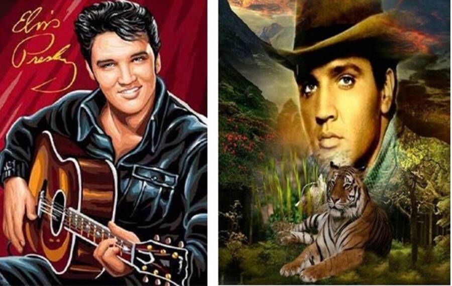 Denza kerstcadeau 2 x Diamond painting winkel Elvis Presley the king 1 x 20x30 cm en 1 x 30x40 cm Elvis volledige bedrukking ronde steentjes direct leverbaar