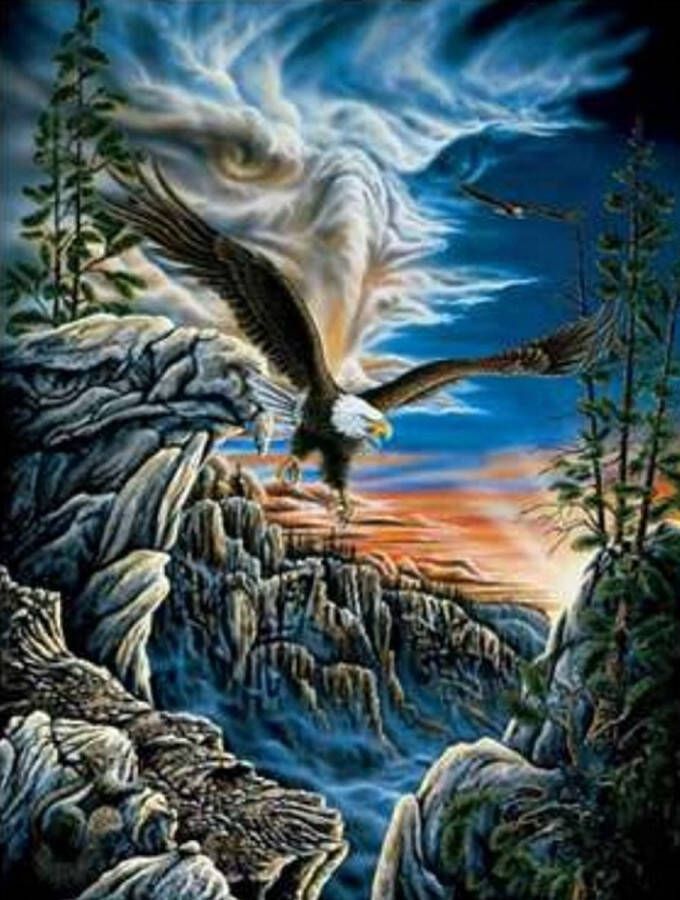 Denza Diamond painting adelaar roofvogel in de bergen 40 x 50 cm volledige bedrukking ronde steentjes direct leverbaar arend buizerd