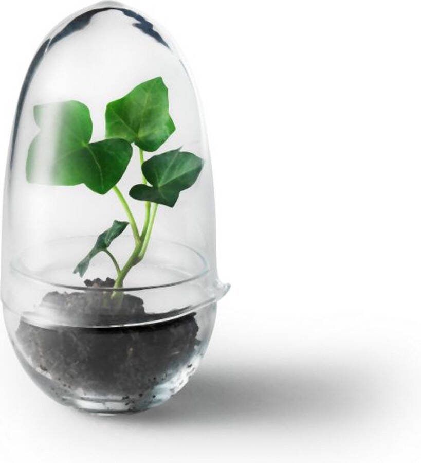 Design House Stockholm AB Grow Small