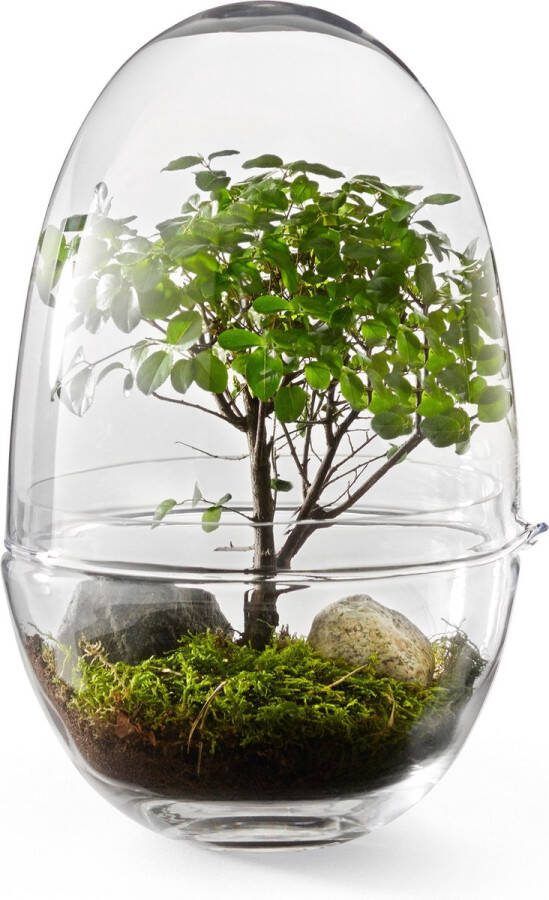 Design House Stockholm Grow Greenhouse Large
