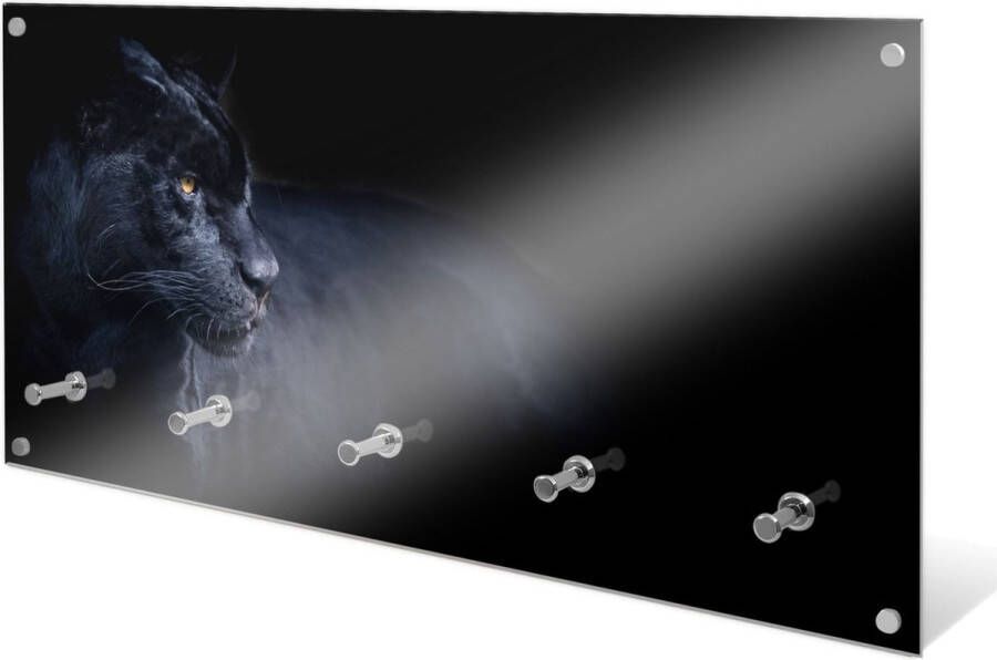 Designglas Wandkapstok – Kapstok – Wandkapstok – Hangend – Garderoberek – Muurkapstok Gehard glas – Handdoekrek – Muurdecoratie Stijlvol Gehard glas 5 Haken Panther 80x40cm