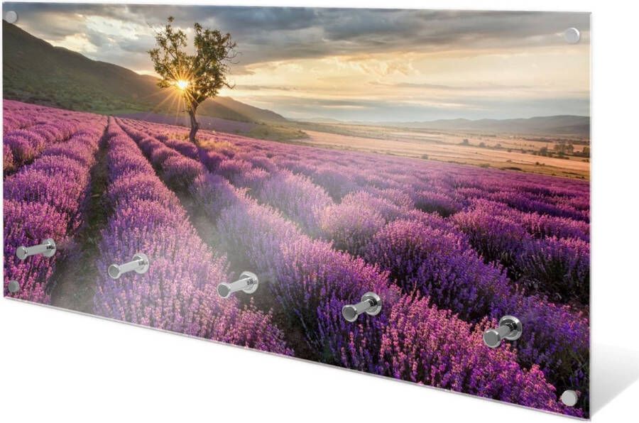 Designglas Wandkapstok – Kapstok – Wandkapstok – Hangend – Garderoberek – Muurkapstok Gehard glas – Handdoekrek – Muurdecoratie Stijlvol Gehard glas 5 Haken Zonsopkomst op lavendel veld 80x40cm