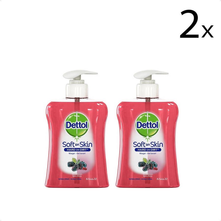 Dettol Handzeep Winterbessen 250ml x2