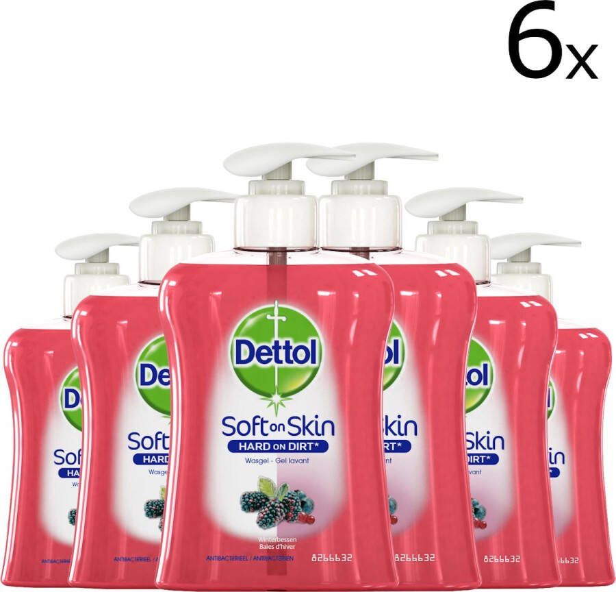 Dettol Handzeep Winterbessen 250ml x6 Grootverpakking