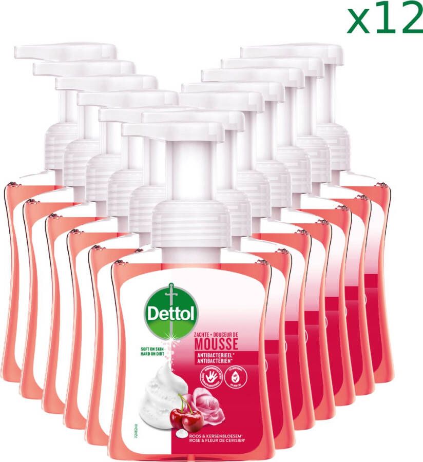 Dettol Handzeep Zachte Mousse Roos & Kersenbloesem 250ml x12