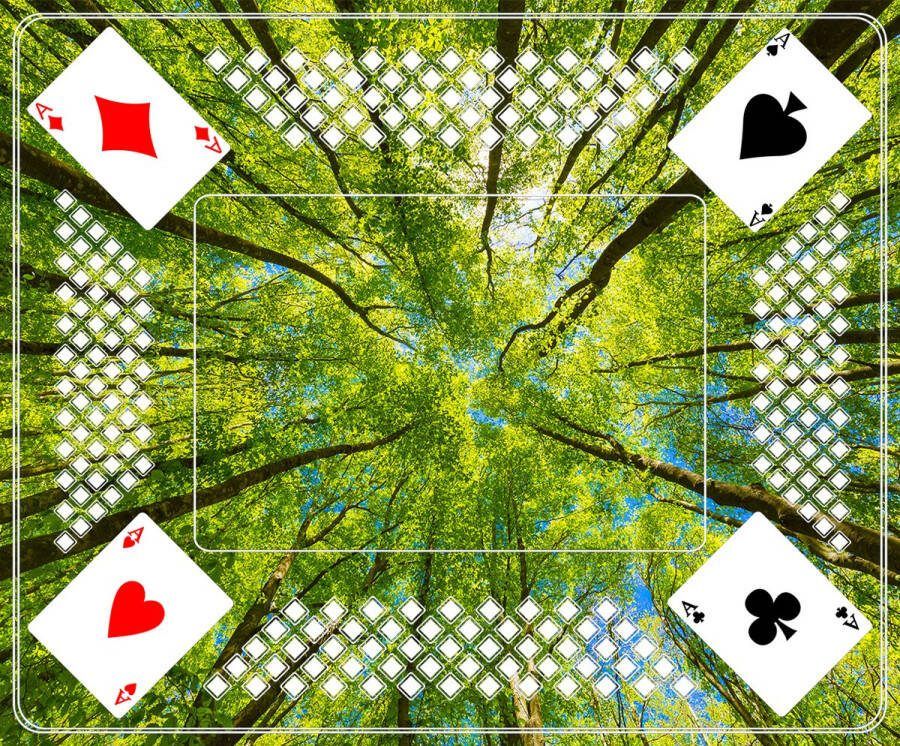 Di-Jet Premium Kaartmat (58x70cm) FOREST Kaartkleed- Kaart Tapijt Ideaal voor Gezellige Kaartspellen met Vrienden en Familie Gedrukt op Vilt met Antislip Latex Onderlaag Duurzaam en Hoogwaardig!