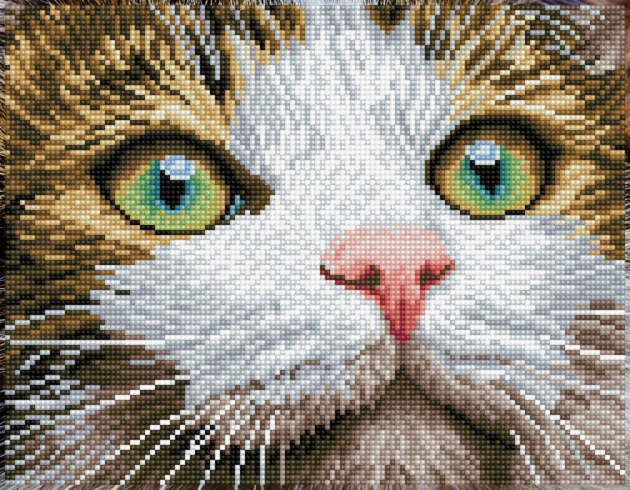 DIAMOND DOTZ DIAMOND DOTZ Green Eyed Beauty Diamond Painting 11.904 Dotz 43x35 cm