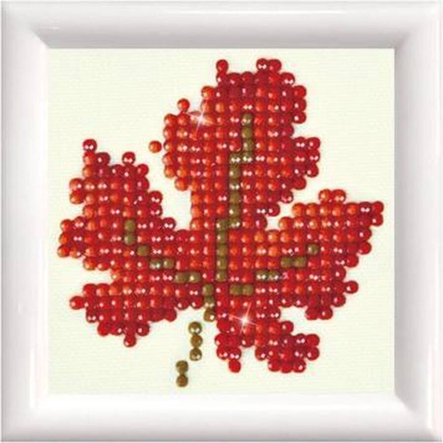 DIAMOND DOTZ Diamond Painting Kinderen DDS.021F Rood herfstblad met lijst Ronde steentjes Volledig pakket