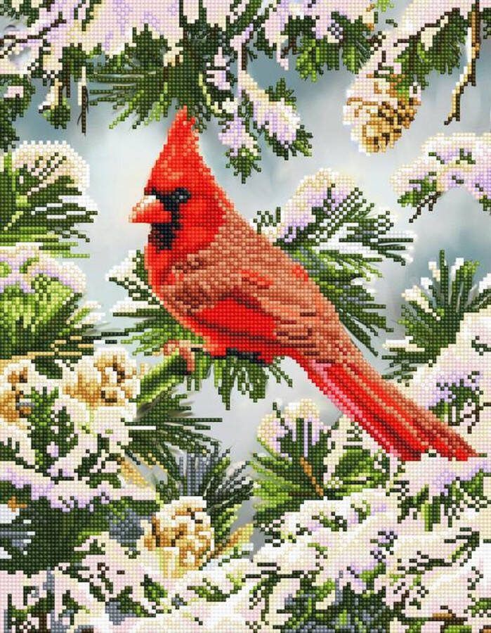 DIAMOND DOTZ Diamond painting volwassenen Dieren Rode kanarie 45.50 x 35.50cm Ronde steentjes Volledig pakket