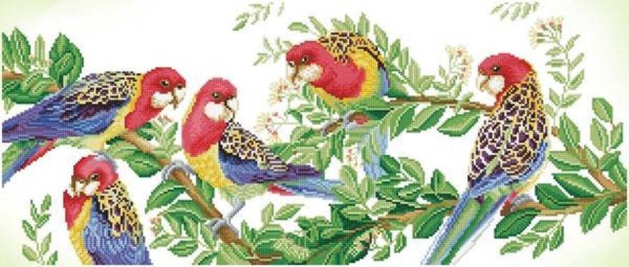 DIAMOND DOTZ Diamond Painting Volwassenen Ronde Steentjes Volledig Pakket Hobby DD13.025 Dieren Gekleurde papegaaien op een tak 37 x 87cm