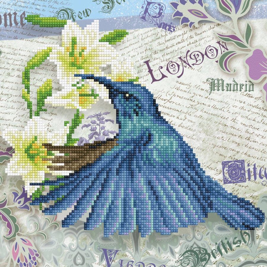 DIAMOND DOTZ Diamond Painting Volwassenen Ronde Steentjes Volledig Pakket Hobby DD5.053 Dieren Kolibrie 30 x 30cm